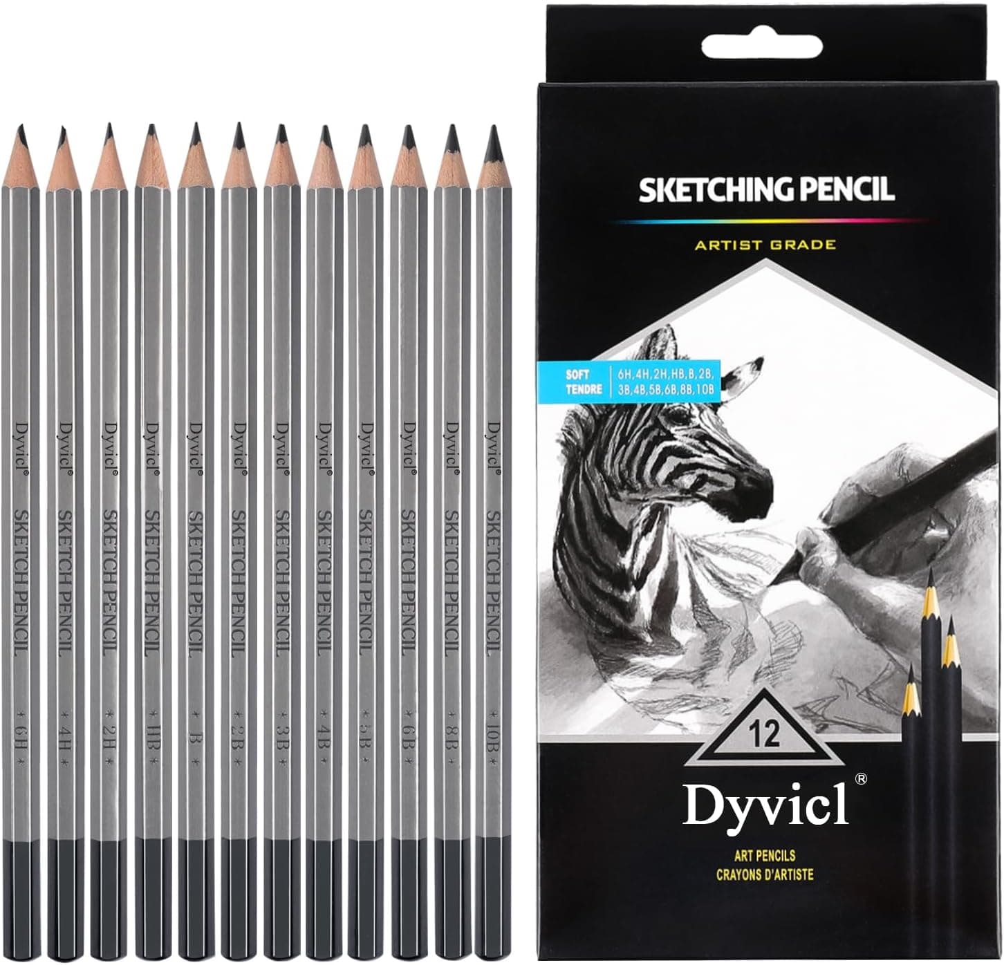 Dyvicl Professional Drawing Sketching Pencil Set - 12 Pieces, 10B-6H Graphite Pencils
