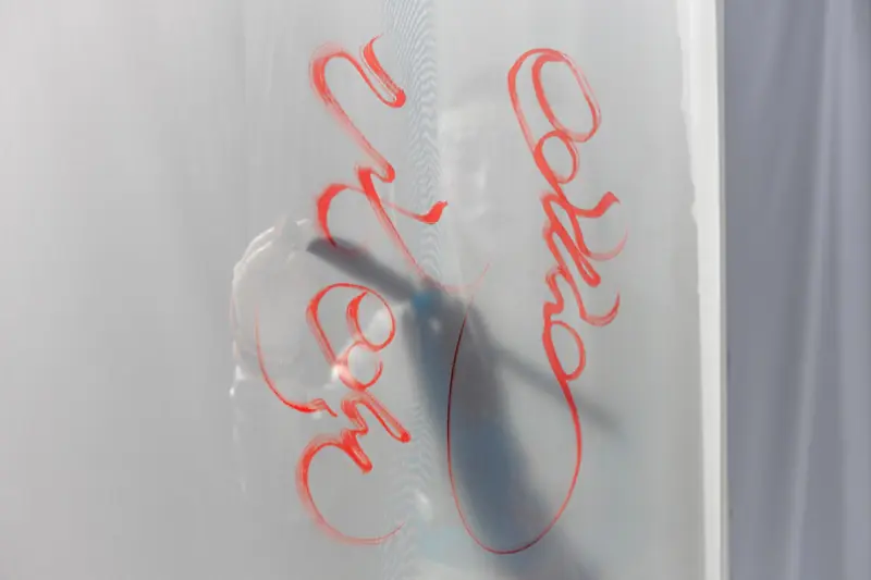 Artistic red calligraphy strokes on a semi-transparent surface create an abstract play of shadows and light